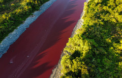 EU chemicals agency warns widely used 'forever chemical' may pose greater health risks
